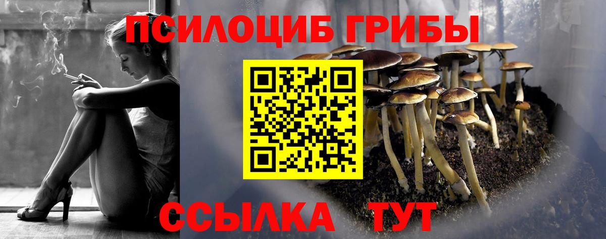 Псилоцибиновые грибы мухоморы  Псилоцибиновые грибы Psilocybe  Кострома  Вход с VPN 