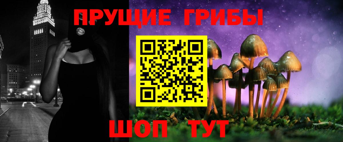 Псилоцибиновые грибы Cubensis Кострома